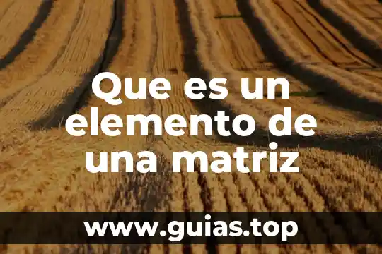 Que es la justicia como elemento natural 4 Que es un elemento de una matriz