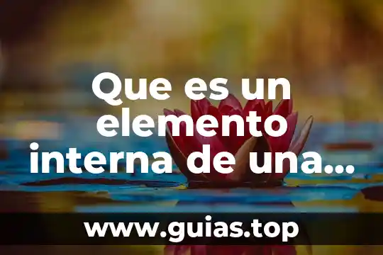 Que es la realidad interna 3 Que es un elemento interna de una operacion con numeros