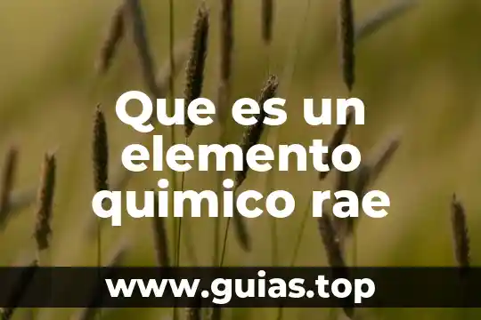 Qué es un principio físico químico 4 Que es un elemento quimico rae