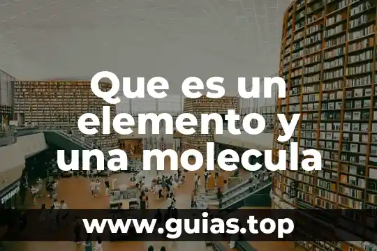 Qué es una molécula de una planta 8 Que es un elemento y una molecula