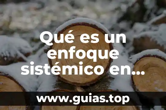 Que es la realidad interna 7 Qué es un enfoque sistémico en auditoría interna