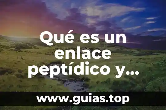 Que es estructura funcional en enfermeria 8 Qué es un enlace peptídico y cuál es su estructura