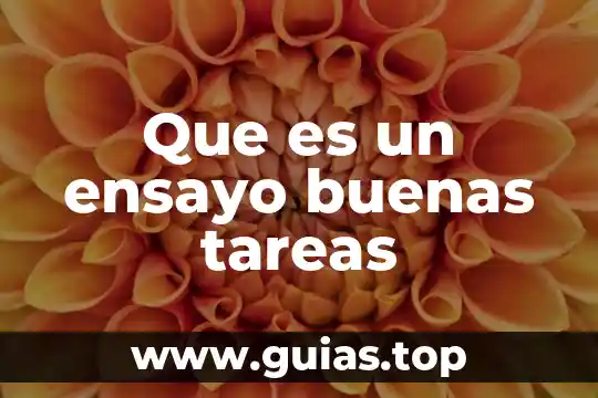 Que es el dinero ensayo 3 Que es un ensayo buenas tareas