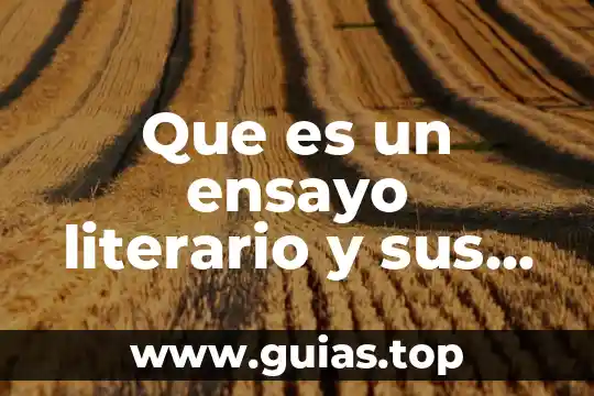 Que es un texto literario tipos y sus caracteristicas 5 Que es un ensayo literario y sus caracteristicas y funciones