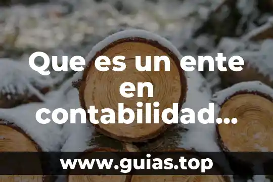 El dialogo entre los integrantes que es y ejemplos 6 Que es un ente en contabilidad ejemplos