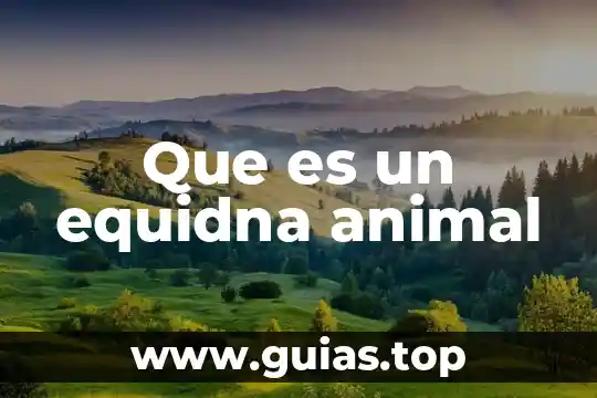 Que es hacer crecer a una mujer 3 Que es un equidna animal