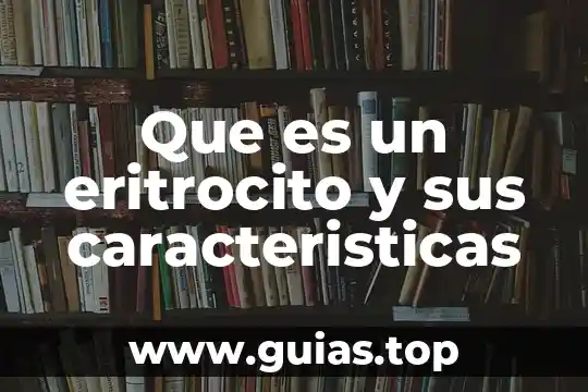 Qué es una dieta vegetariana definición 5 Que es un eritrocito y sus caracteristicas