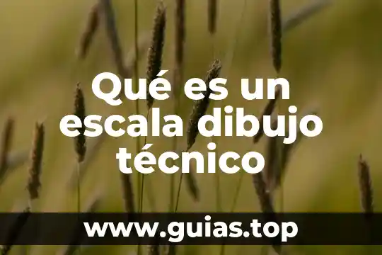 Definición que es un docente cita 5 Qué es un escala dibujo técnico