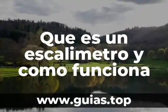 Qué es un piecito de una planta 4 Que es un escalimetro y como funciona