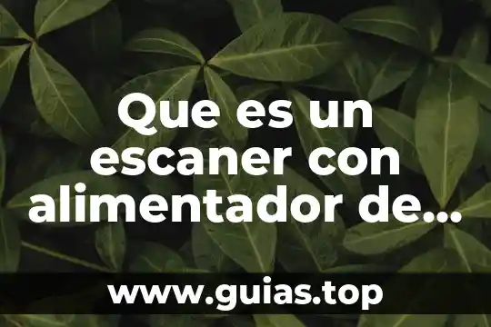 Que es hojas para el marcado a fuego 7 Que es un escaner con alimentador de hojas