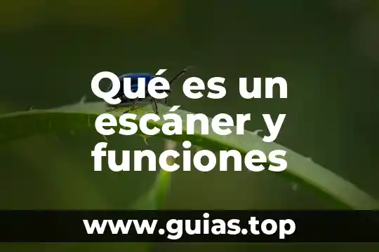 Que es la celula animal sus funciones y sus partes 7 Qué es un escáner y funciones