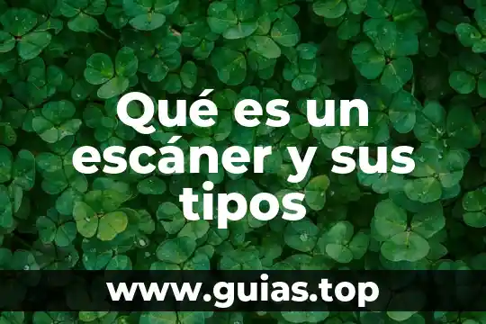 Tipos de vista que es 5 Qué es un escáner y sus tipos