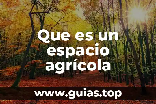 Que es un tecnico en produccin agricola 5 Que es un espacio agrícola