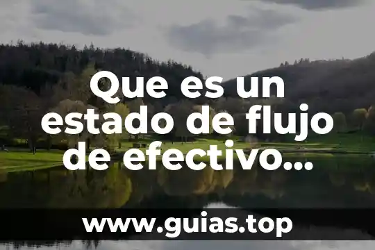 Que es el flujo del agua 3 Que es un estado de flujo de efectivo presupuestado
