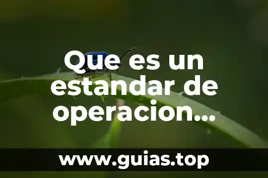 Qué es un estándar de calidad interno definición 6 Que es un estandar de operacion definicion