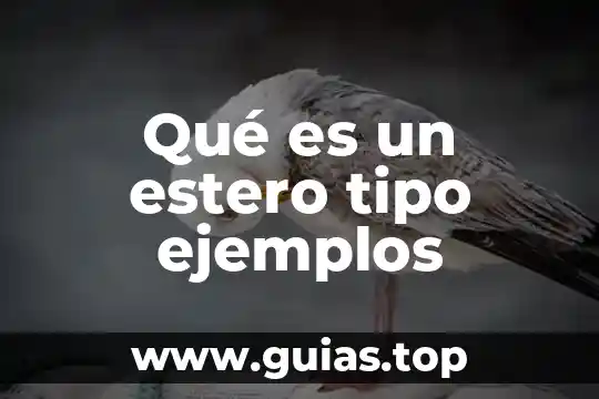 Ejemplos sencillos que es el paradigma de la complejidad 6 Qué es un estero tipo ejemplos