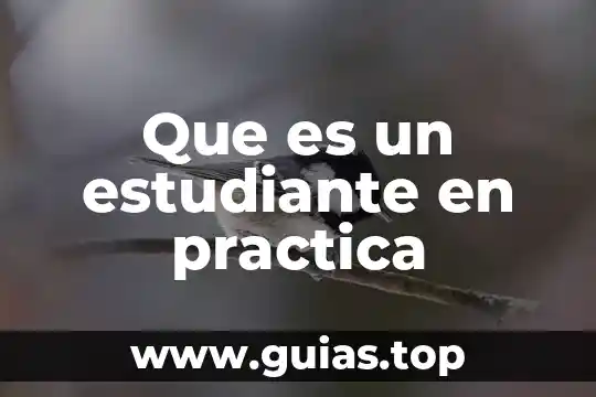 Anime sobre estudiante que es una diosa 4 Que es un estudiante en practica