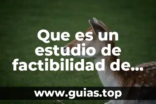 Que es ser liderazgo ejemplo 7 Que es un estudio de factibilidad de una empresa