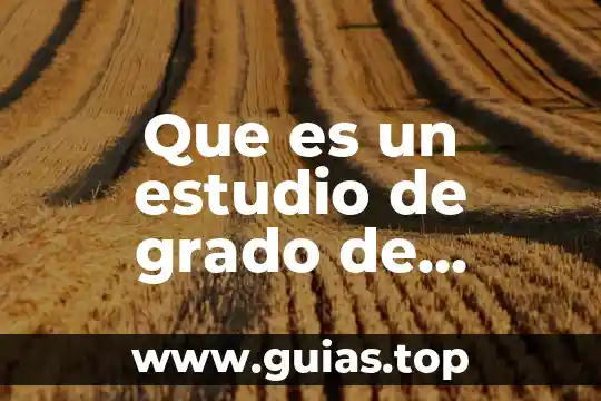 Que es cortar el fuego en un incendio forestal 6 Que es un estudio de grado de incendio