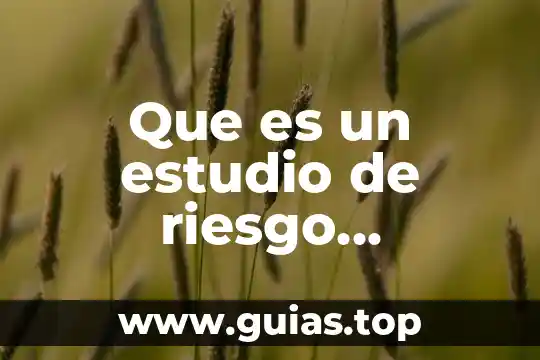 Que es una auditoria ambiental semarnat 5 Que es un estudio de riesgo semarnat