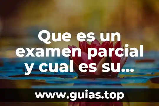 Que es funcion boyectiva 6 Que es un examen parcial y cual es su funcion