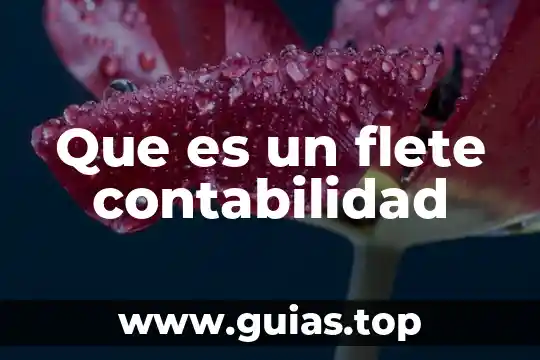 Que es un cargo diferido en contabilidad 6 Que es un flete contabilidad