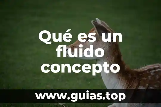 Qué es jidoka concepto 7 Qué es un fluido concepto