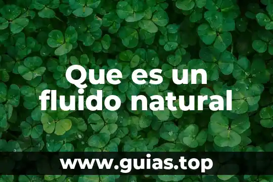 Que es la alimentacion natural 3 Que es un fluido natural