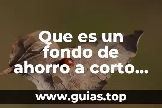 Que es largo corto y mediano plazo 7 Que es un fondo de ahorro a corto plazo