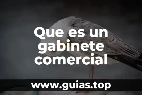 Que es el coral una planta o un animal 3 Que es un gabinete comercial