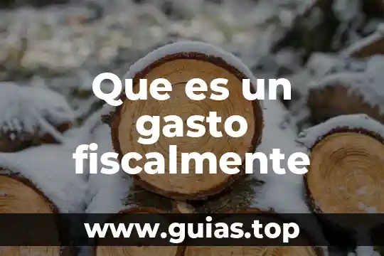 Concepto de que es la informática 8 Que es un gasto fiscalmente