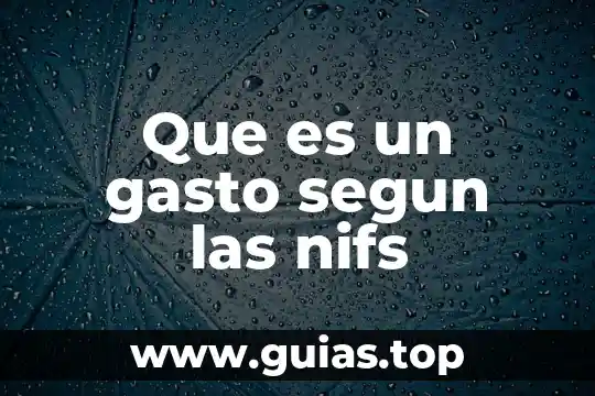 Que es el gasto publico y de que esta compuesto 3 Que es un gasto segun las nifs