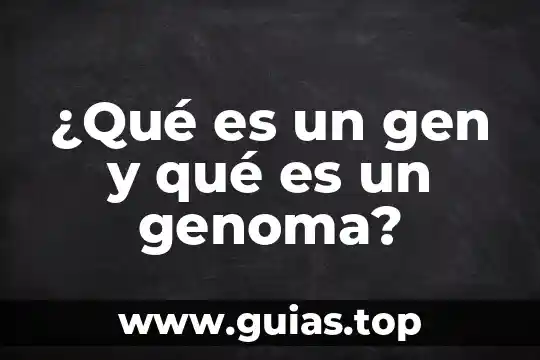 Qué es más grande un cromosoma y un gen 6 ¿Qué es un gen y qué es un genoma?