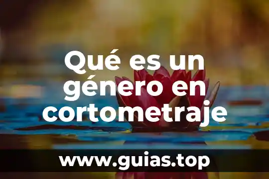Que es la violencia de genero animado 8 Qué es un género en cortometraje