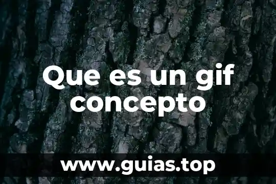 Que es un año bisiesto concepto 8 Que es un gif concepto