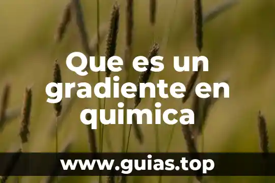 Que es la quimica definicion concepto 8 Que es un gradiente en quimica