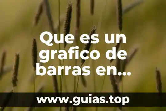 Qué es el número de código de barras 5 Que es un grafico de barras en estadistica