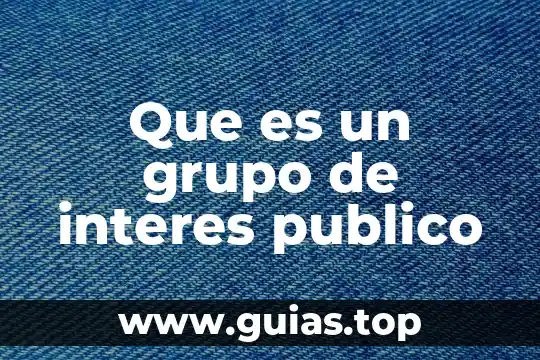 Que es la corresponsabilidad en asuntos de interes publico 4 Que es un grupo de interes publico