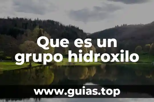 Una conclusión que es la nación 7 Que es un grupo hidroxilo