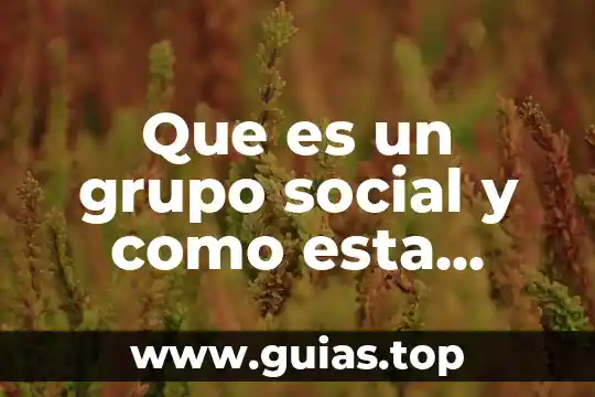 Que es conciencia social definicion 4 Que es un grupo social y como esta dividido