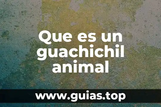 Que es un lucio animal 3 Que es un guachichil animal