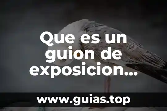 Que es un guion de exposicion yahoo