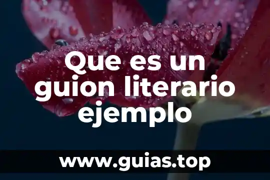 Que es un texto literario tipos y sus caracteristicas 7 Que es un guion literario ejemplo