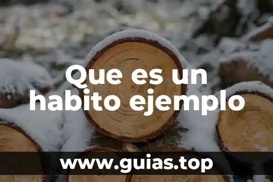Concepto específico de que es un hábito alimenticio 4 Que es un habito ejemplo