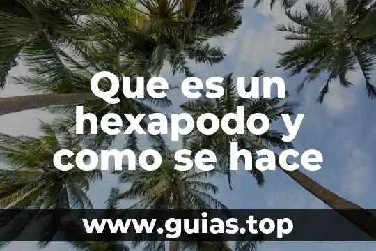 Tesis que es como se hace definircion 6 Que es un hexapodo y como se hace