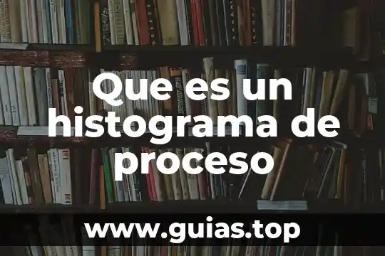 Qué es el DNI número o número de pasaporte 6 Que es un histograma de proceso