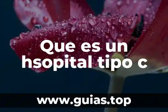Domainupdown c que es 3 Que es un hsopital tipo c