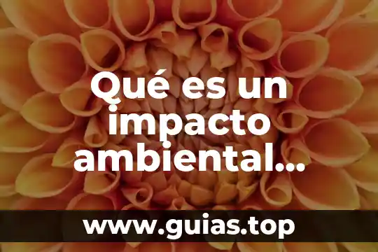 Que es impacto socio ambiental tesis 6 Qué es un impacto ambiental antagonistico