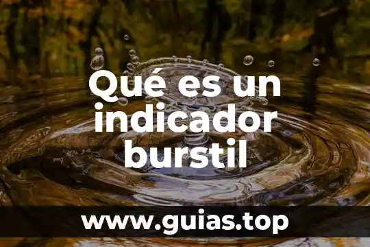 Qué es un indicador griego 4 Qué es un indicador burstil