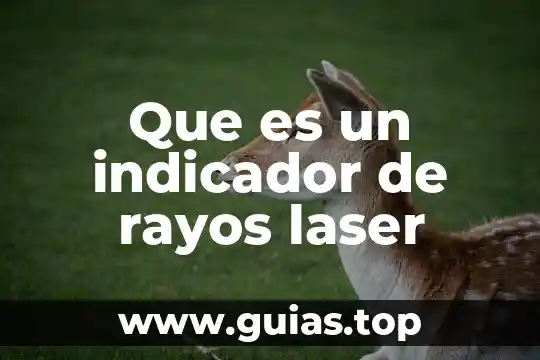 Qué es en física láser 7 Que es un indicador de rayos laser
